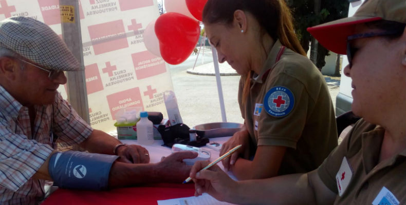 fotosemcarros790x400 copy